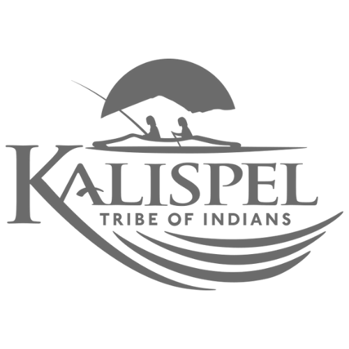 Healthcare Technology Solutions Partner