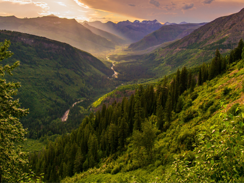 healthcare technology case studies